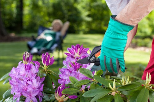 Gardener pruning shrubs in a Charlton garden