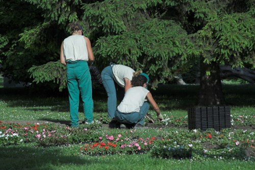 Diverse plant selection in a well-maintained Charlton garden